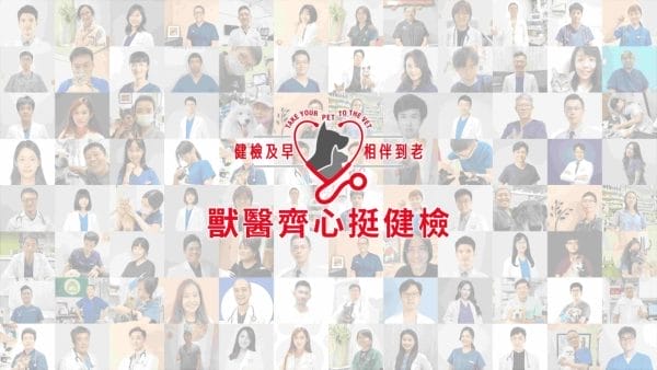 圖說:今年全台共有近300間動物醫院一同響應「健檢及早,相伴到老」
