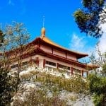 文化大學樂齡大學上課地點位於風景優美的陽明山，樂齡學員若能持續參與課程，不僅能延緩記憶與認知退化，還能減輕憂鬱與孤獨感。